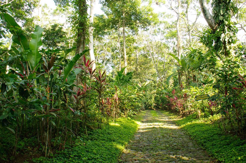 Takalik Maya Lodge El Asintal エクステリア 写真
