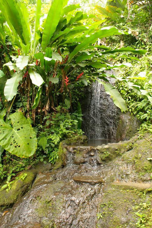 Takalik Maya Lodge El Asintal エクステリア 写真