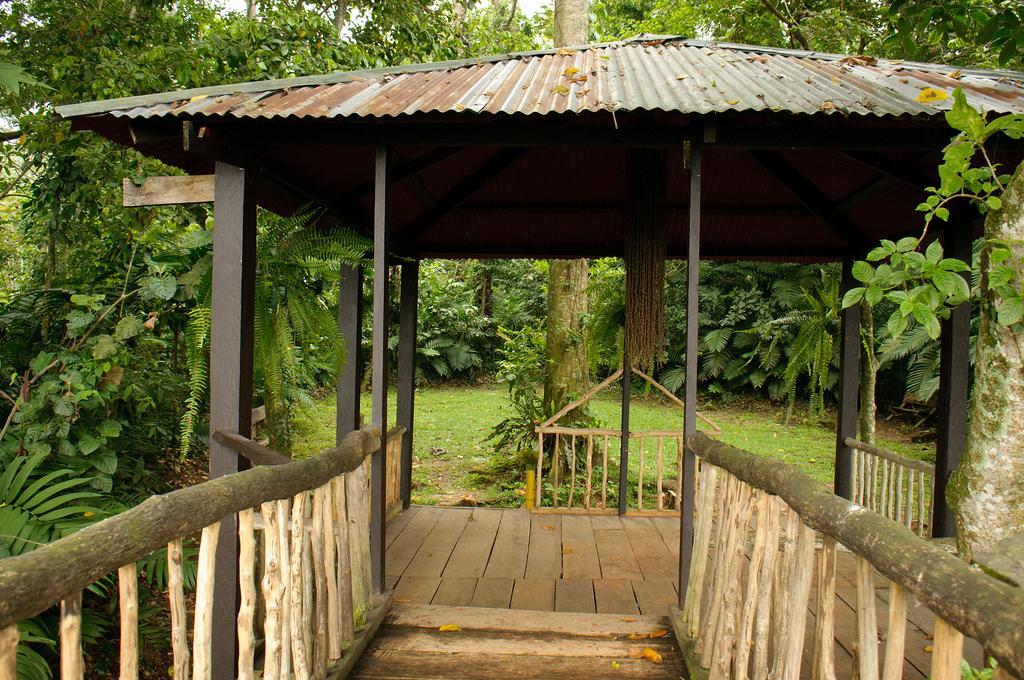 Takalik Maya Lodge El Asintal エクステリア 写真