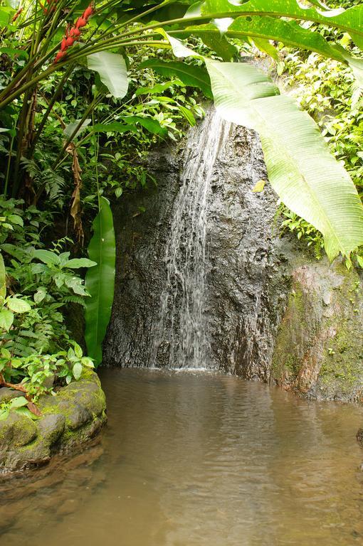 Takalik Maya Lodge El Asintal エクステリア 写真