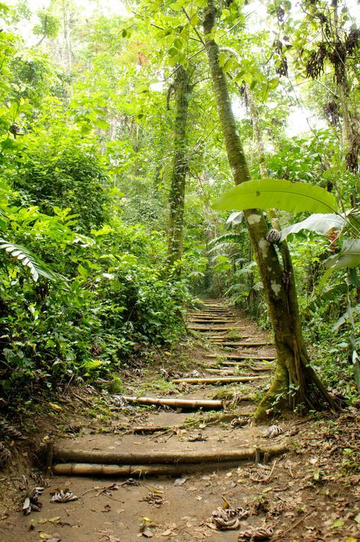 Takalik Maya Lodge El Asintal エクステリア 写真