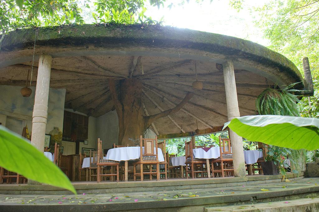 Takalik Maya Lodge El Asintal エクステリア 写真