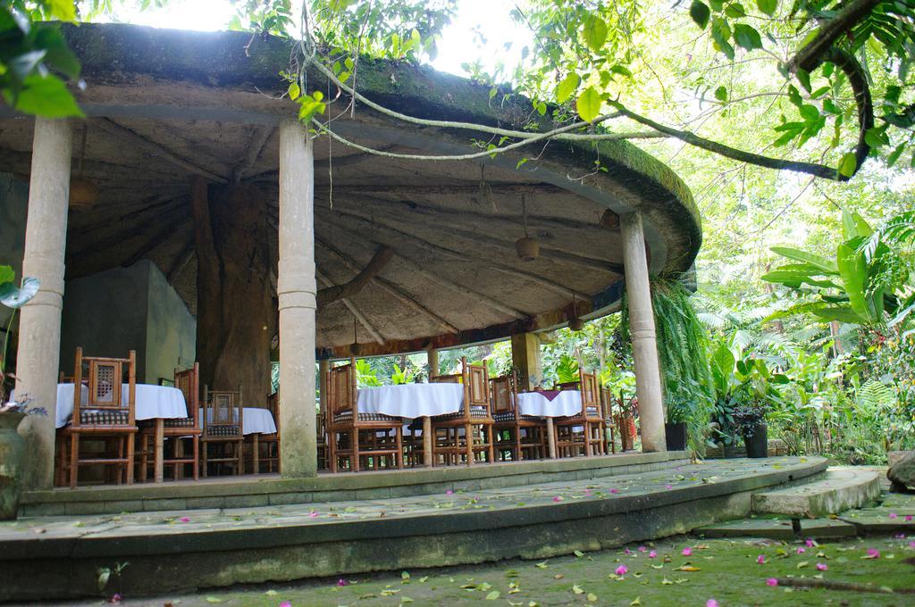 Takalik Maya Lodge El Asintal エクステリア 写真